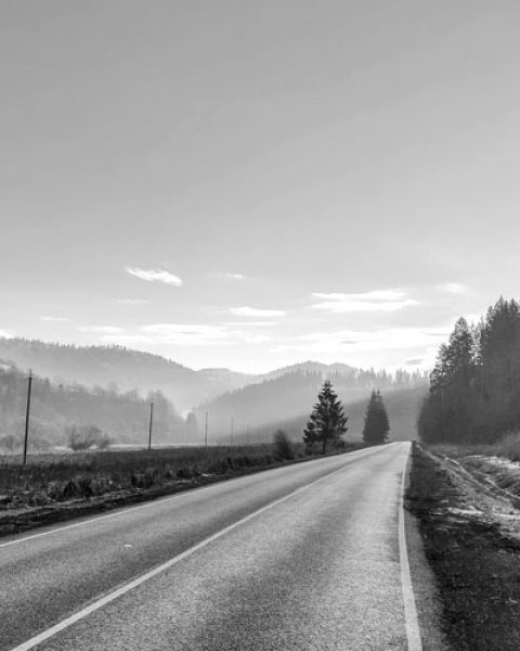 banner-7.jpg